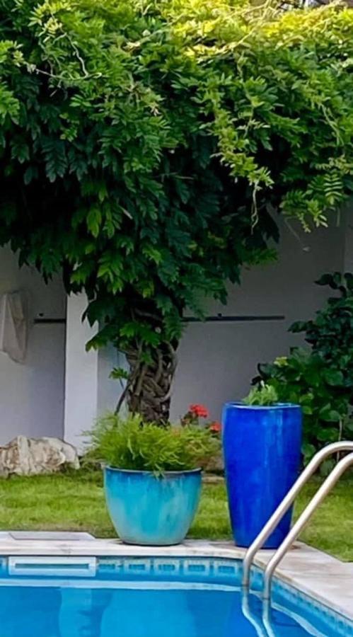 ססימברה Casa Das Cores מראה חיצוני תמונה